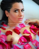 Анкета проститутки Шарлотта - метро Беговой, возраст - 25