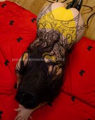 Анкета проститутки Соня - метро Покровское-Стрешнево, возраст - 28